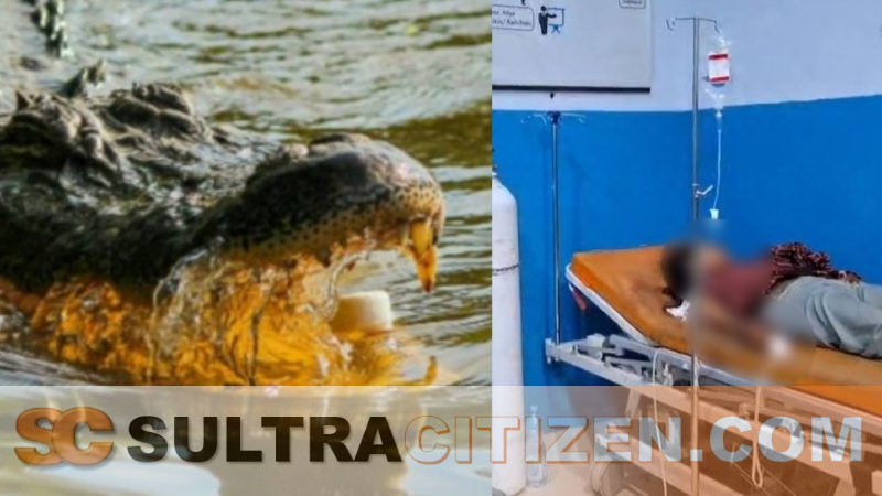 Emak-emak di Muna Diterkam Buaya Saat Ambil Air Di Sungai Desa Latampu