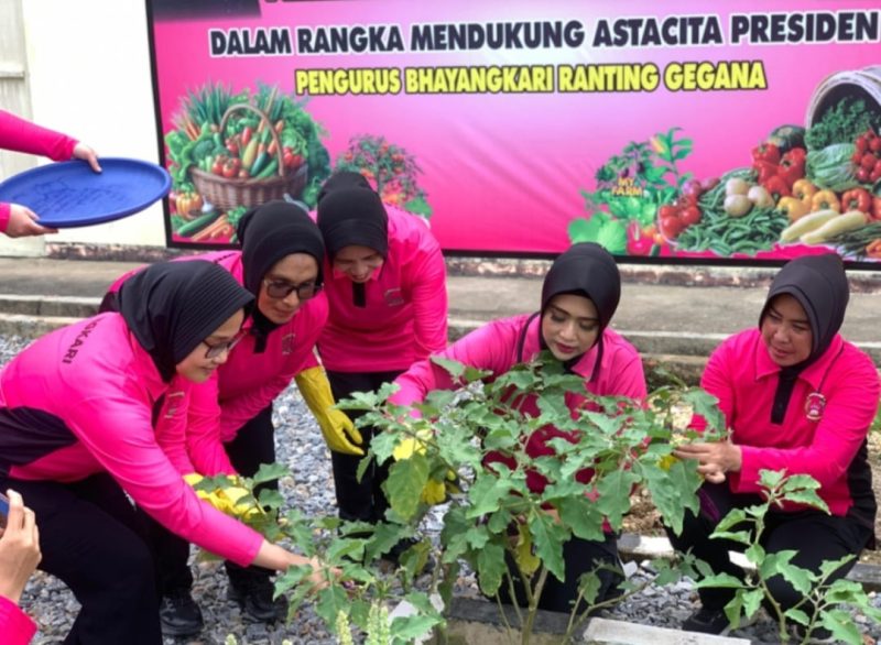 Ikuti Program Asta Cita Presiden RI, Bhayangkari Cabang Satbrimobda Sultra Mulai Panen Sayur